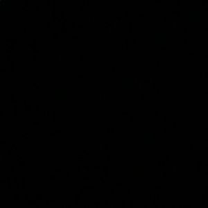 Meet your Posher, Dylan